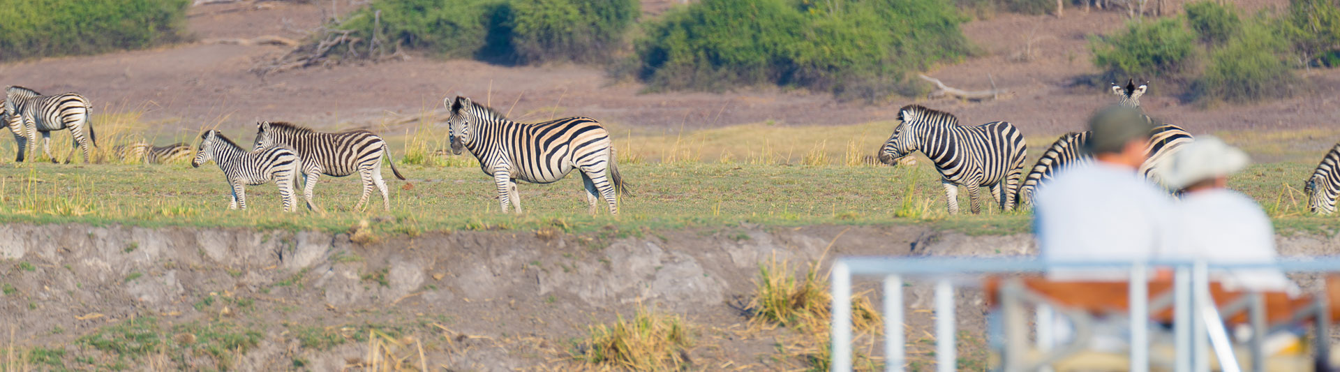 Chobe River and Chobe National Park safari region